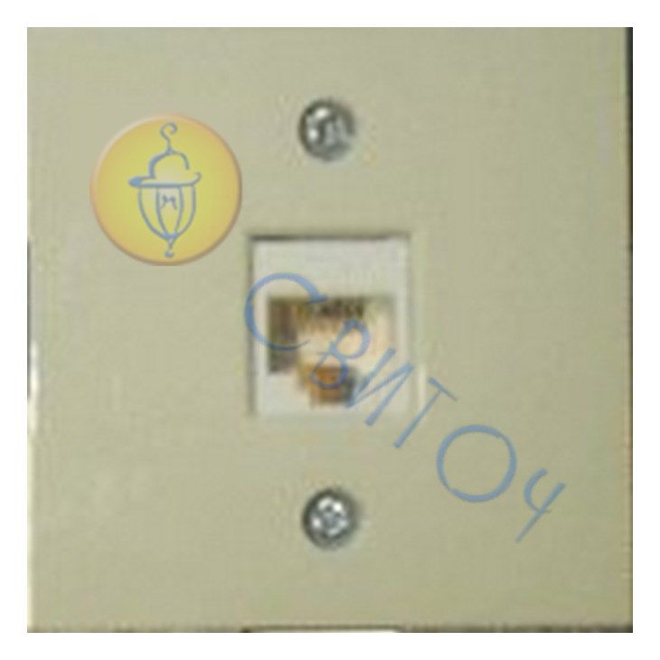 Корпус розетки для установки одного разьема RJ-12/RJ-45 стандарта WE сл./кость FIORENA (22007803)