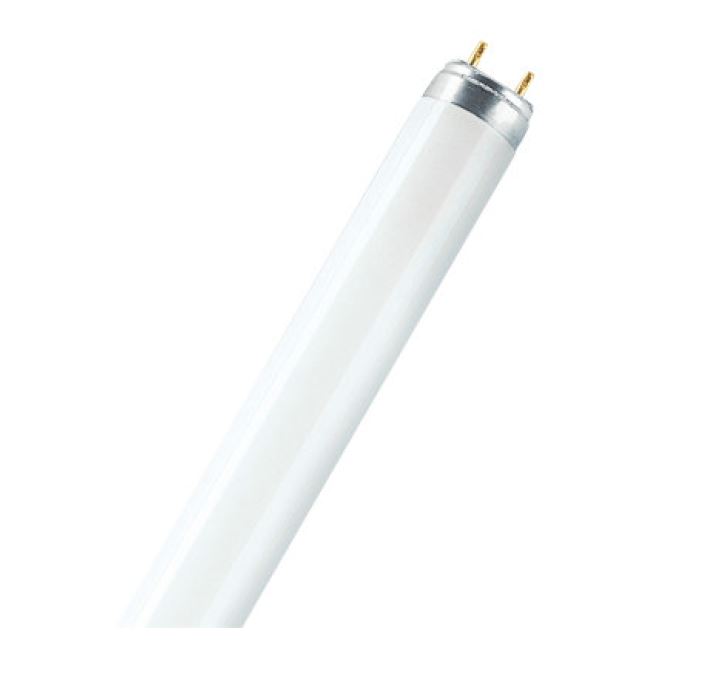 Люминесцентная лампа OSRAM L30W/865 G13 трубчастая (4050300518015)