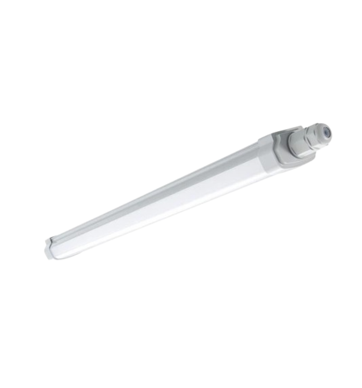 Пило-вологозахищені світильники Philips WT060C