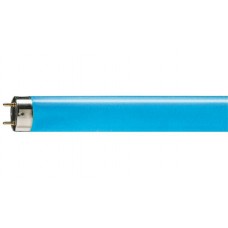 TL-D Colored 18W Blue 1SL/25 Люмінесцентна лампа синього кольору Philips (928048001805)