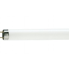 TL-D 36W Snow White 1SL/25 Лампа люминесцентная трубчатая Philips (928048545015)