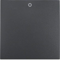 Клавіша Berker 1Х з написом 