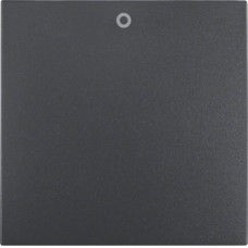 Клавиша Berker 1Х с надписью