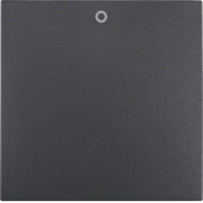 Клавиша Berker 1Х с надписью 