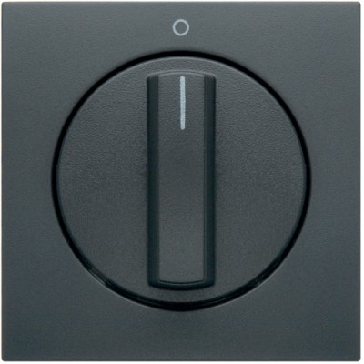 Панель Berker для поворотных выключателей, антрацит B.х (11501606)