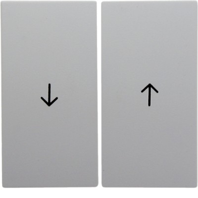 Клавіша Berker 2Х з знаком 