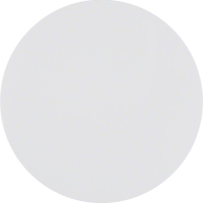Кнопка Berker 1-канальная KNX-quicklink R.1/R.3 пол.белизна (85145139)
