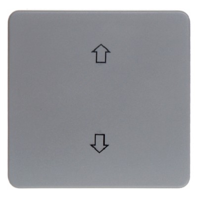 Клавиша Berker 1Х с знаком 