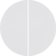 Кнопка Berker 2-канальная KNX-quicklink R.1/R.3 пол.белизна (85146139)