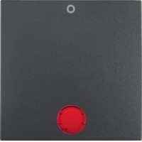 Клавіша Berker 1Х з написом 