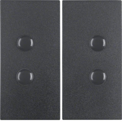 Клавиша Berker 2Х, прикручиваются, антрацит B.х (15711606)