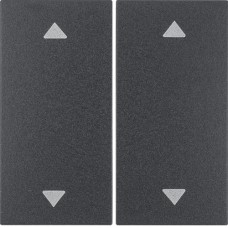 Клавиша Berker 2Х с Стрелками для передатчика KNX EnOcean S.1/B.х антрацит (24121206)