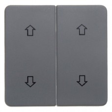 Клавиша Berker 2Х