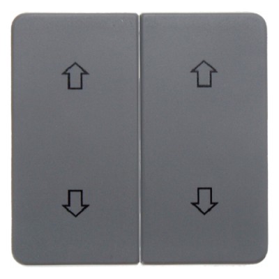 Клавиша Berker 2Х 