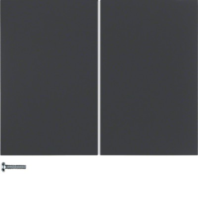 Кнопка Berker 2-канальная KNX-quicklink K.1 антрацит (85146175)