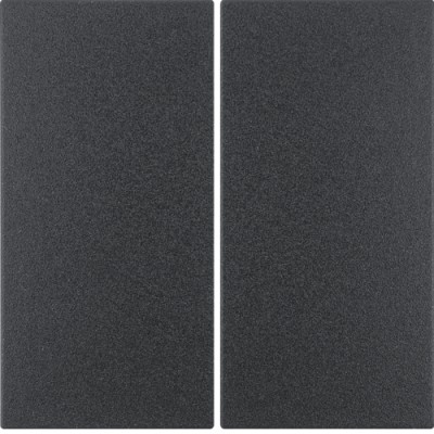 Клавиша Berker 2Х для передатчика KNX EnOcean S.1/B.х антрацит (24121106)