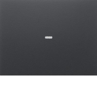 Клавиша Berker 1Х выключателя 80141170 K.1 антрацит (80960275)