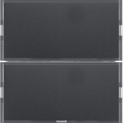 Сенсорный выключатель Berker 2-клавишный KNX-TP+EASY S.1/B.x алюм./антрацит (80162785)