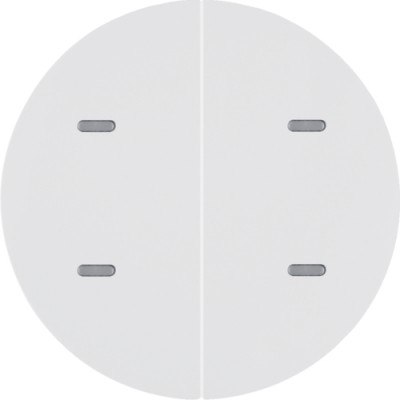 Сенсорный выключатель Berker 2-клавишный KNX-TP+EASY R.x пол.белый (80162869)