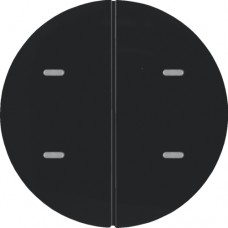 Сенсорный выключатель Berker 2-клавишный KNX-TP+EASY R.x черный (80162865)