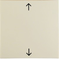 Клавіша Berker 1Х із знаком 