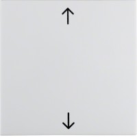 Клавіша Berker 1Х із знаком 