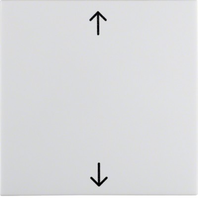 Клавиша Berker 1Х с знаком 