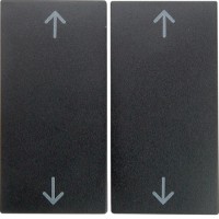 Клавіша Berker 2Х з знаком 