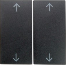 Клавиша Berker 2Х с знаком 