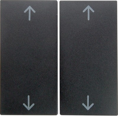 Клавиша Berker 2Х с знаком 