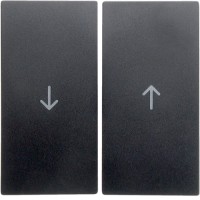 Клавіша Berker 2Х з знаком 