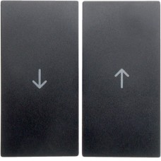 Клавіша Berker 2Х з знаком 