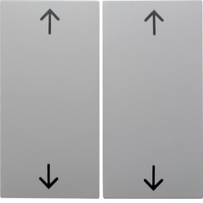 Клавиша Berker 2Х с знаком 