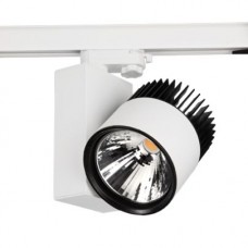 LADY Y 28W 3000lm 840 25deg прожектор Spectra