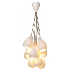 Люстра подвесная BTC FP445N