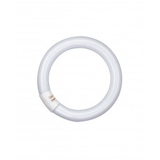 Люминесцентная круговая лампа OSRAM L 22W/865 C G10Q (4008321581105)
