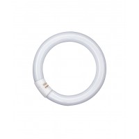 Люминесцентная круговая лампа OSRAM L 32W/865 C G10Q (4008321581167)