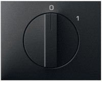 Панель Berker для поворотных выключателей, антрацит, K.1 (11507106)