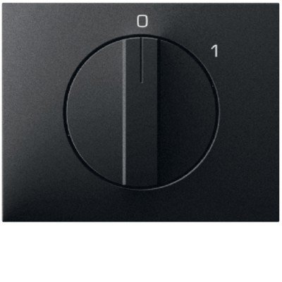 Панель Berker для поворотных выключателей, антрацит, K.1 (11507106)