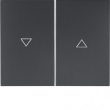 Клавіша Berker 2Х з знаком 