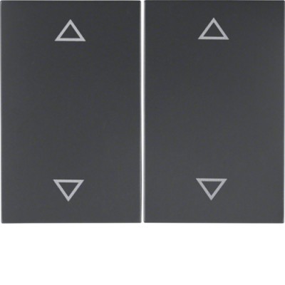 Клавиша Berker 2Х с знаком 