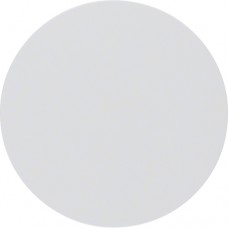 Клавиша Berker одинарная, полярная белизна, R.1/R.3 (16202089)