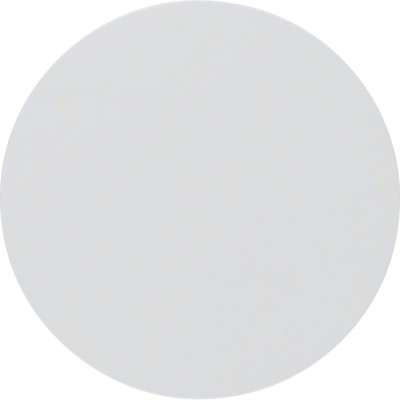 Клавиша Berker одинарная, полярная белизна, R.1/R.3 (16202089)