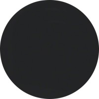 Клавиша Berker одинарная, черная, R.1/R.3 (16202045)