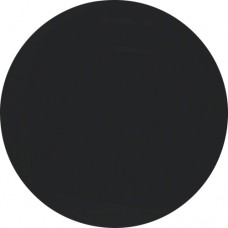 Клавиша Berker одинарная, черная, R.1/R.3 (16202045)