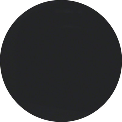 Клавиша Berker одинарная, черная, R.1/R.3 (16202045)