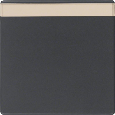 Клавіша Berker 1Х з полем д/надпису, антрацит, Q. х (16266086)