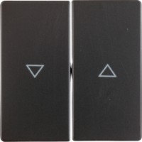 Клавіша Berker 2Х з знаком 