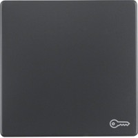 Клавіша Berker 1Х із знаком 