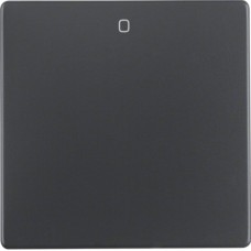 Клавиша Berker 1Х с знаком 